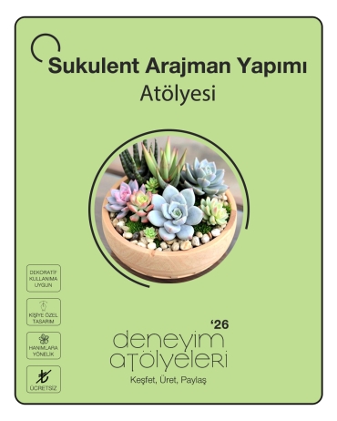 Sukulent Arajman Yapımı Atölyesi